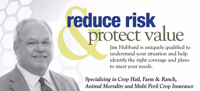 Jim Hubbard, reduce risk and protect value